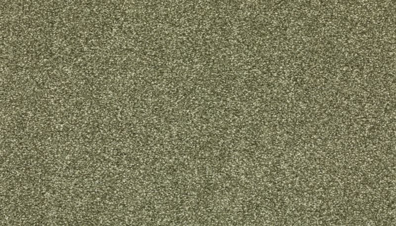 Mohawk Smartstrand Quality Life Sage 3J97-621