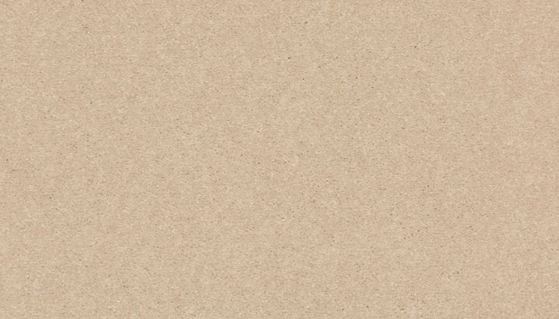Mohawk Smartstrand Quality Life Scroll 3J97-730