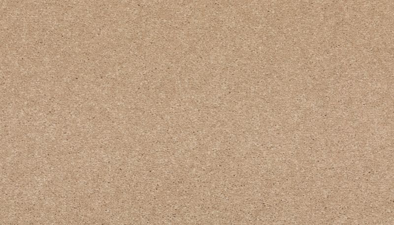 Mohawk Smartstrand Quality Life Tradition 3J97-765
