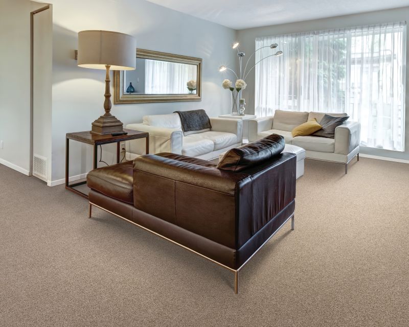 Shop Mohawk Everstrand Tectonic Stony Glade 3K27-749 Carpet