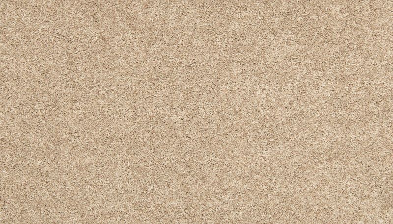 Shop Mohawk Everstrand Inspiring Hickory Bark 3K62-757 Carpet