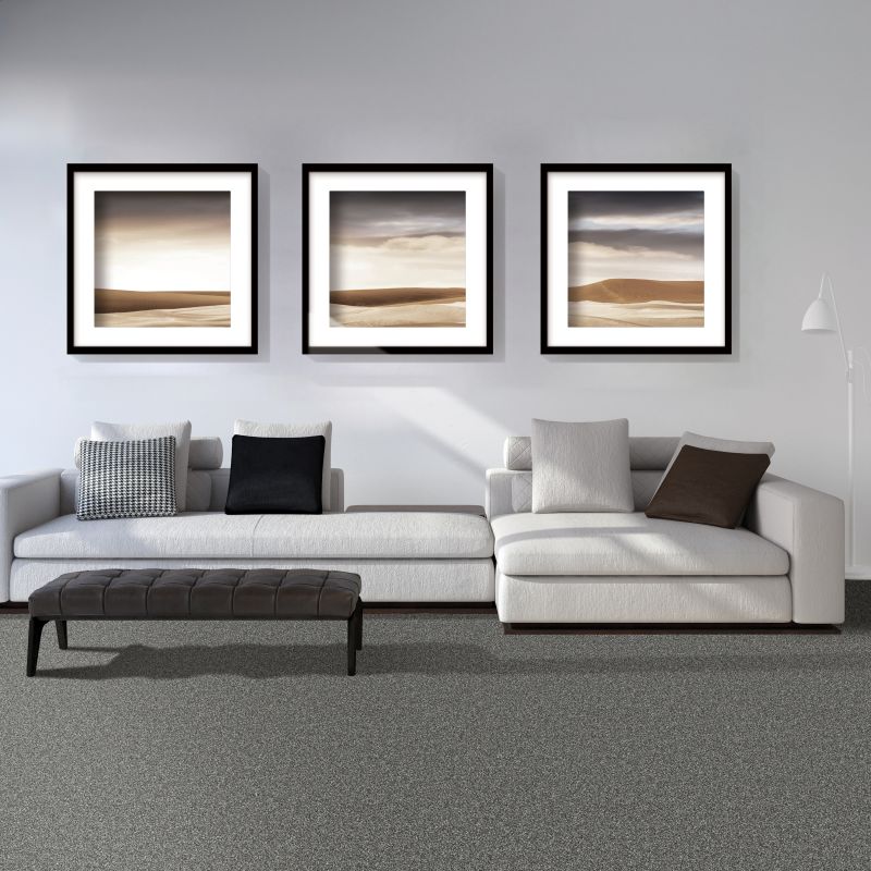 Shop Mohawk Everstrand Renovate I Pewter 3L34-20 Carpet | Myers