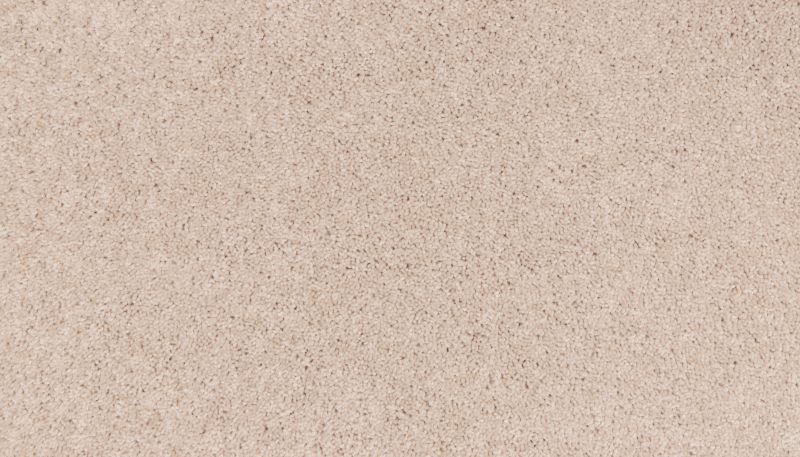 Mohawk Smartstrand Natural Purpose Celebration 3M01-731