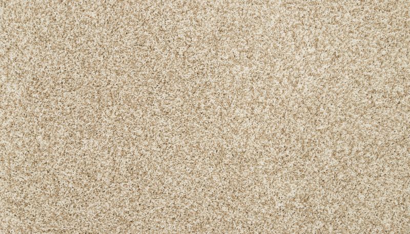 Mohawk Petpremier Raise The Woof II Coconut 3M35-707