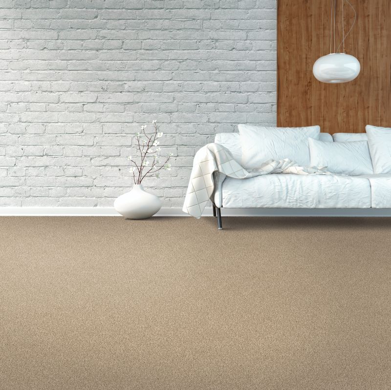 Shop Mohawk Petpremier Purrsonality II Oyster 3M37-948 Carpet