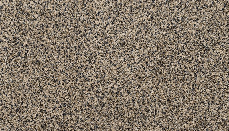 Shop Mohawk Petpremier Purrsonality III Heron 3M38-547 Carpet