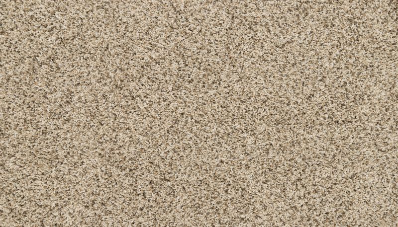 Shop Mohawk Petpremier Purrsonality III Frosty Spice 3M38-769