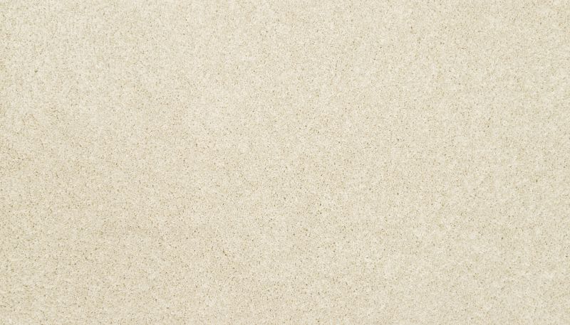 Mohawk Petpremier Claws And Effect I Alabaster 3M39-701