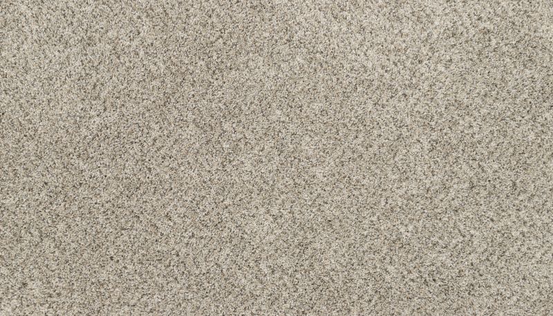 Mohawk Petpremier Claws And Effect I Oyster 3M39-948