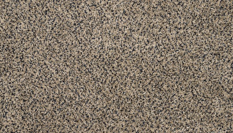 Mohawk Petpremier Diffurent Choice III Heron 3M43-547