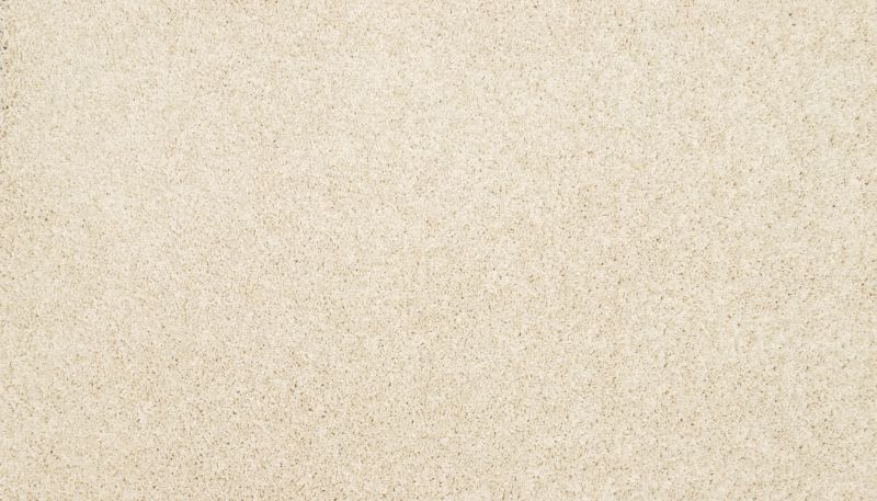 Mohawk Petpremier Diffurent Choice III Alabaster 3M43-701