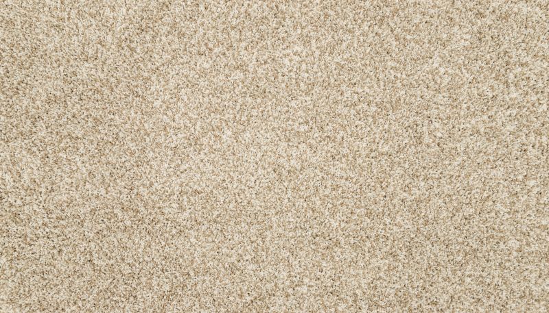 Mohawk Petpremier Diffurent Choice III Coconut 3M43-707