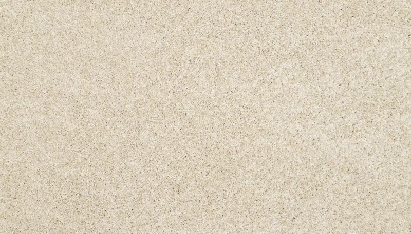 Mohawk Petpremier Diffurent Choice III Canvas Cloth 3M43-709
