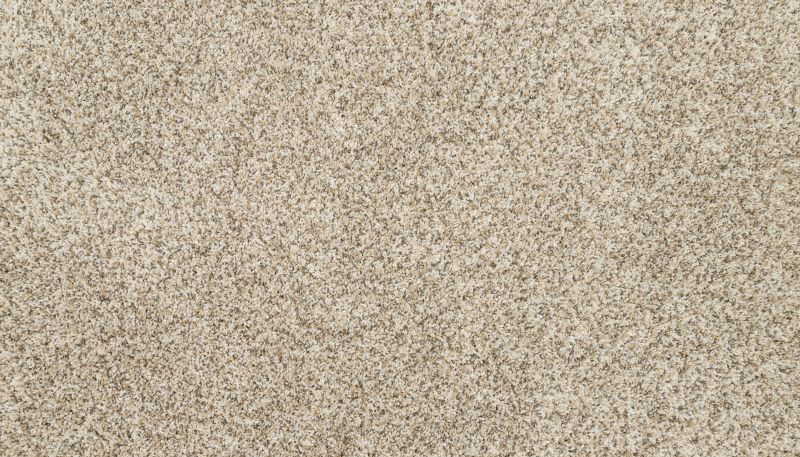 Mohawk Petpremier Diffurent Choice III Fawn 3M43-739