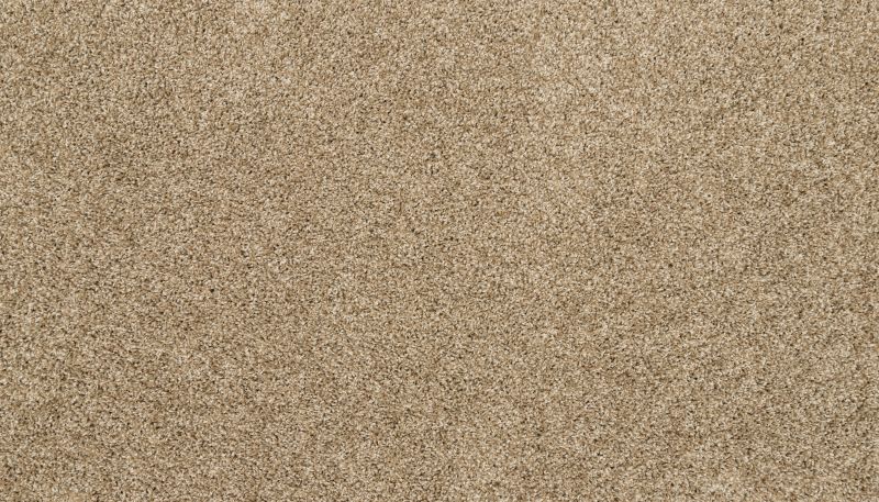 Mohawk Petpremier Diffurent Choice III Harmony 3M43-777
