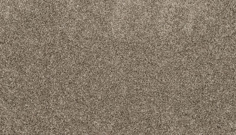 Mohawk Petpremier Diffurent Choice III Gravity 3M43-964