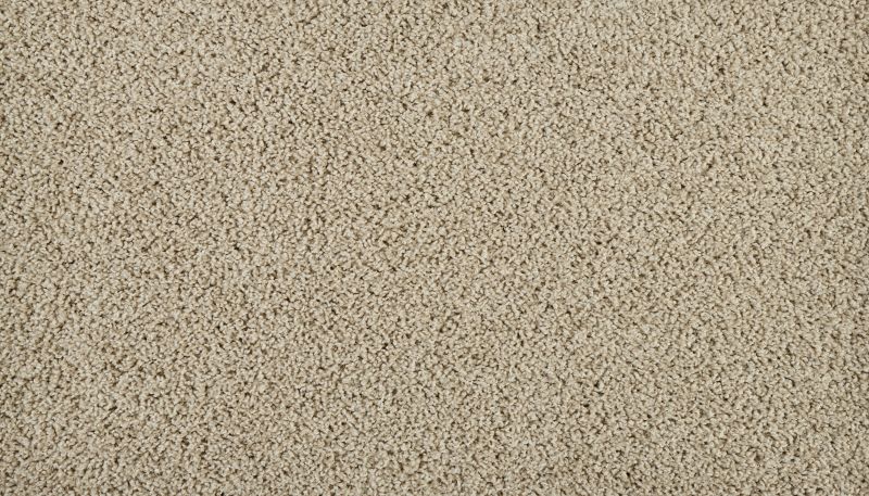 Mohawk Everstrand Sleek Tones Island Taupe 3N43-817
