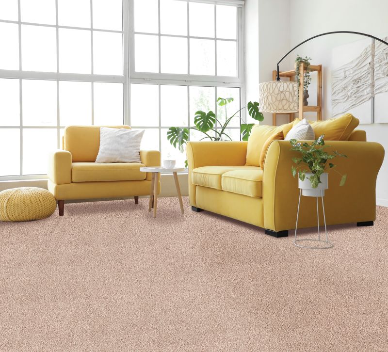 Shop Mohawk Smartstrand Silk Rustic Edge II Harmony 3N53-755