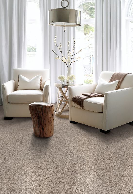 Shop Karastan Smartstrand Silk Innate Moonstone 3N68-9726 Carpet