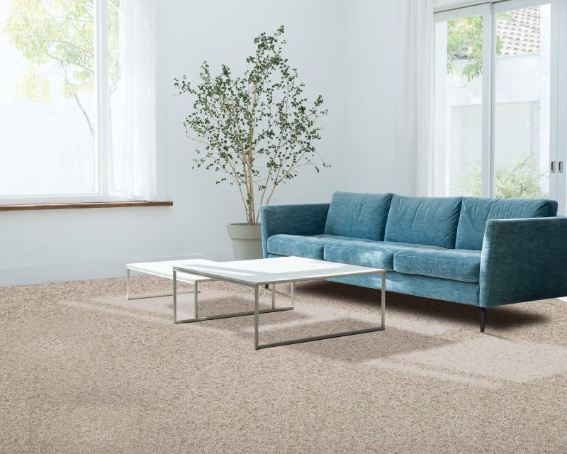 Shop Mohawk Petpremier Canine Comfort Canvas Cloth 3N78-709 Carpet