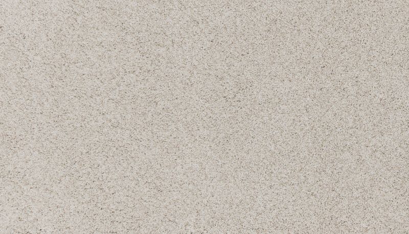 Shop Mohawk Petpremier Furtastic Canvas Cloth 3N79-709 Carpet | A