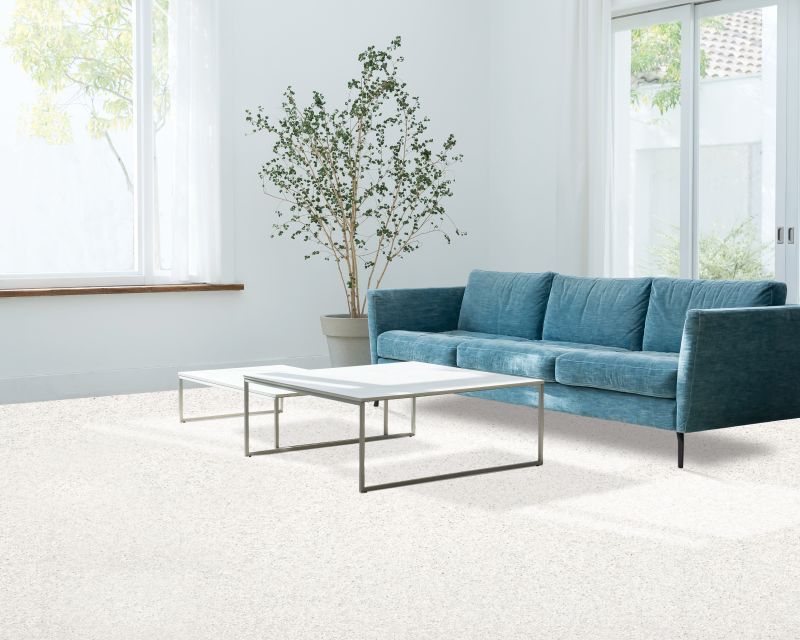 Shop Mohawk Petpremier Furtastic Haze 3N79-901 Carpet | Country