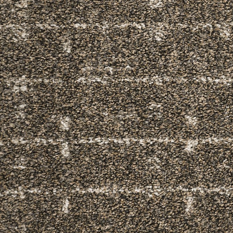 Shop Mohawk Petpremier Furry Fun Coffee Glaze 3N92-869 Carpet