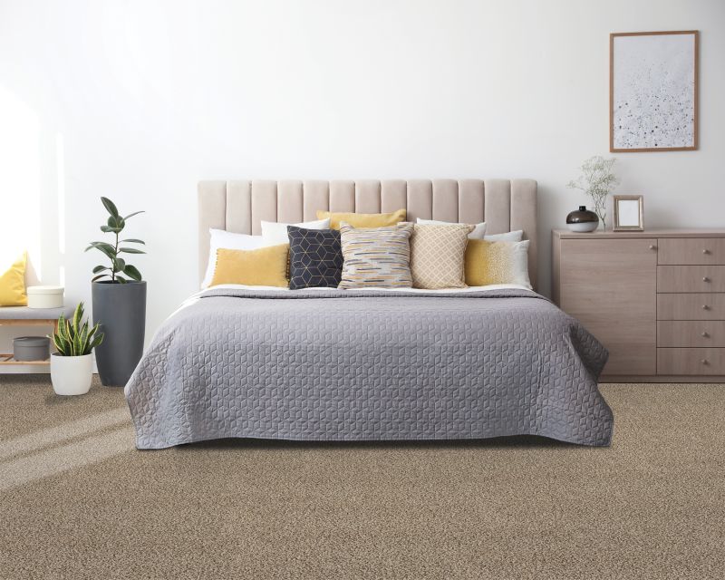 Shop Mohawk Petpremier Cozy Companion II Soft Echo 3O86-731 Carpet