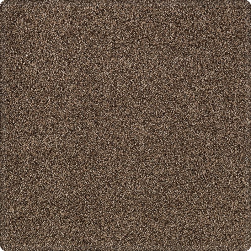 Karastan Kashmere Tranquil Shades Pinecone 43636-9879