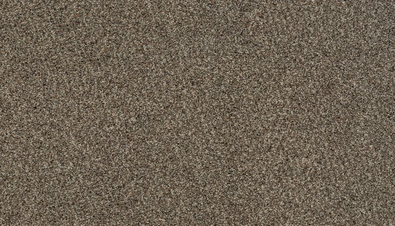Karastan Smartstrand Instinctive Taste Woodland 43728-9825
