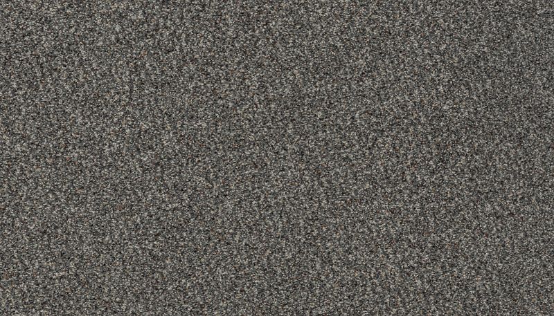 Karastan Smartstrand Instinctive Taste Eternity 43728-9973