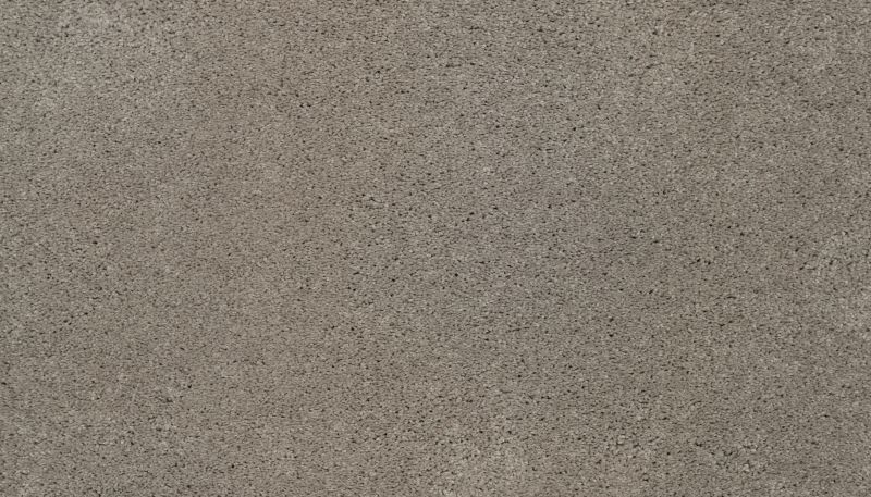 Karastan Smartstrand Silk Simply Amazing Bare Necessities 43731-9775