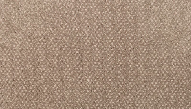 Karastan Smartstrand Greenwich Design Cove 43774-9838