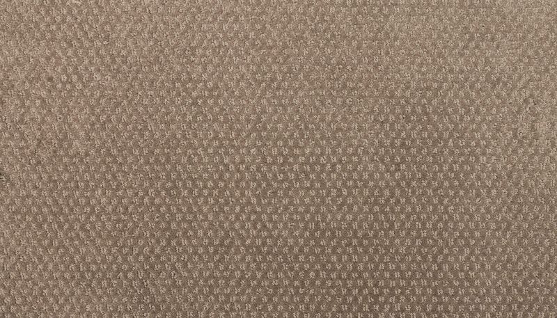 Karastan Smartstrand Greenwich Design Fox 43774-9868