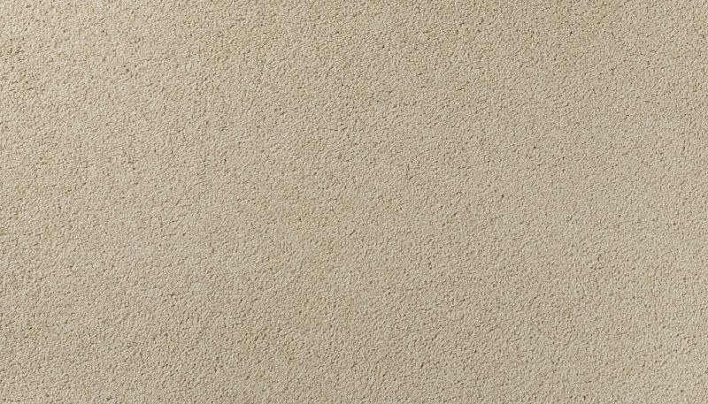 Karastan Smartstrand Vista View II Durango 43798-9712