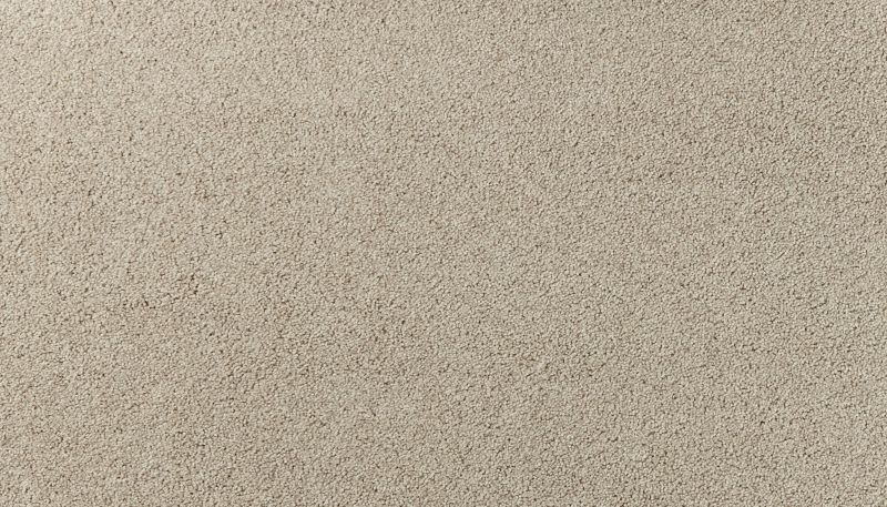 Karastan Smartstrand Vista View II Estes 43798-9829