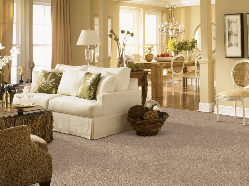 Shop Karastan Kashmere Style Manor Ecru 63583-6709 Carpet | Donald