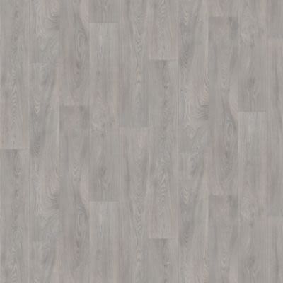 Mohawk Genial Crest Moth Grey