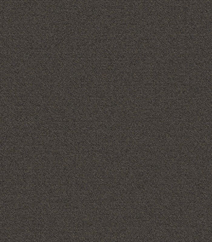 Aladdin Commercial Scholarship II 20 Twilight Shadow 2B99-978