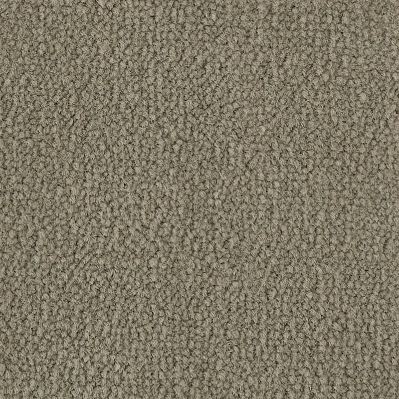 Aladdin Commercial Influencer 36-qs Mesa Taupe AQ208-868