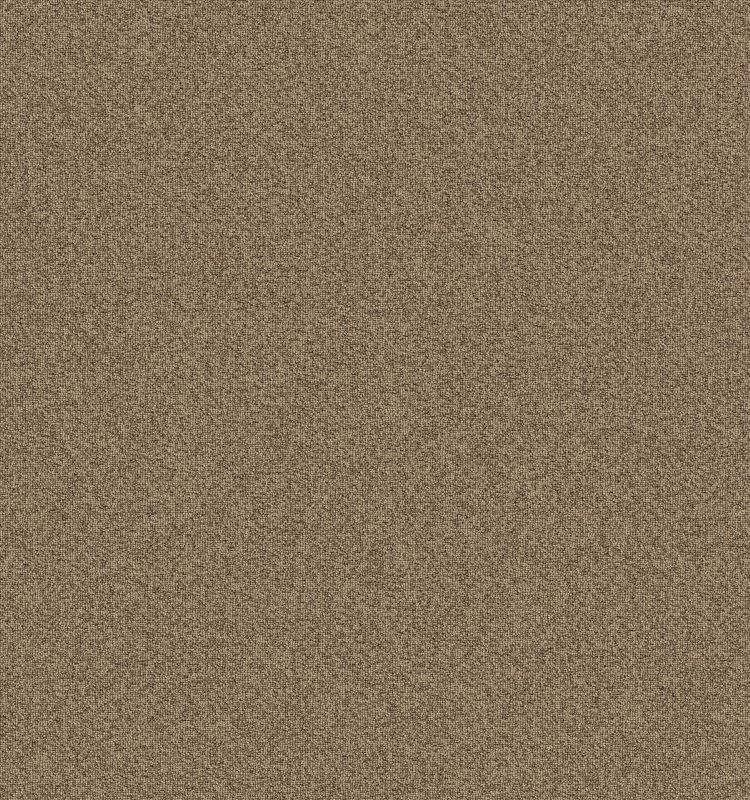 Aladdin Commercial Rule Breaker-qs Praline AQ94-748A
