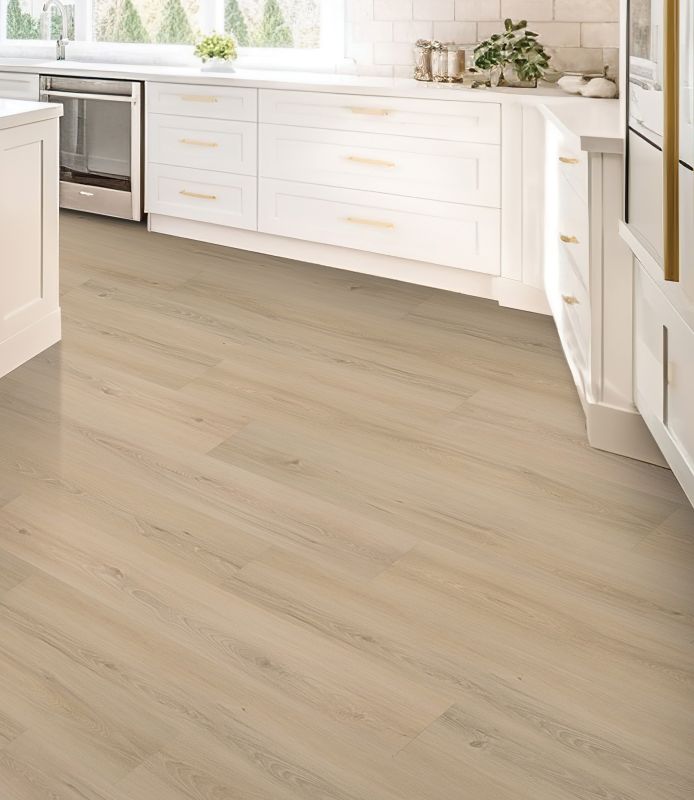 Mohawk Solidtech Plus Eastbrook Bay Constance AST11-218 Shop
