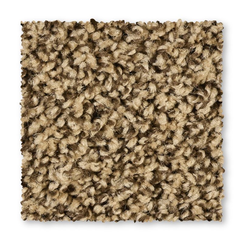 Shop Portico Everstrand Lustrous Tones Mocha Brown BP21D-866