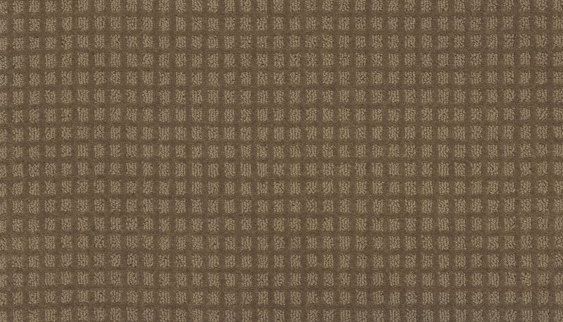 Portico Smartstrand Done Deal II Tortoise Shell BP40C-855