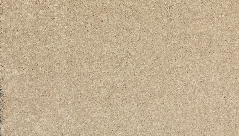 Portico Everstrand Detailed Moments II Sedona BP48C-752