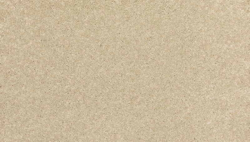 Portico Everstrand Detailed Moments II Seashells BP48C-766