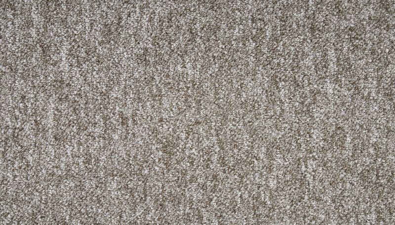 Shop Portico Everstrand Azura Driftwood BP54D-868 Carpet | Hopkins