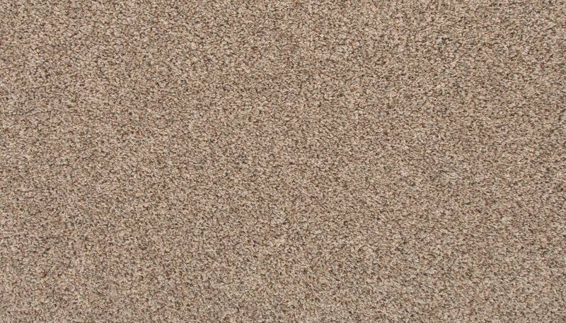 Portico Everstrand Rejuvenate Havana BP55C-829