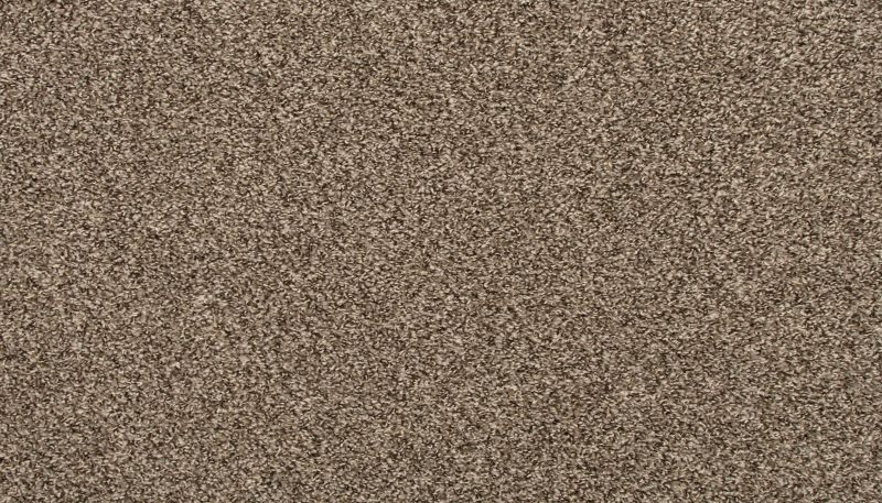 Portico Everstrand Rejuvenate Shimmer Ash BP55C-879