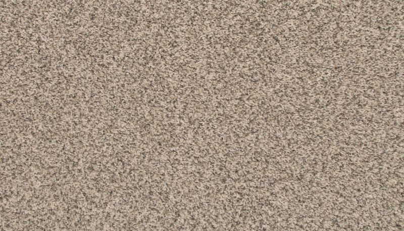 Portico Everstrand Rejuvenate Silver Dollar BP55C-938